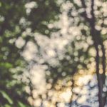 Bali Uncovered: A Journey Beyond the Beaches