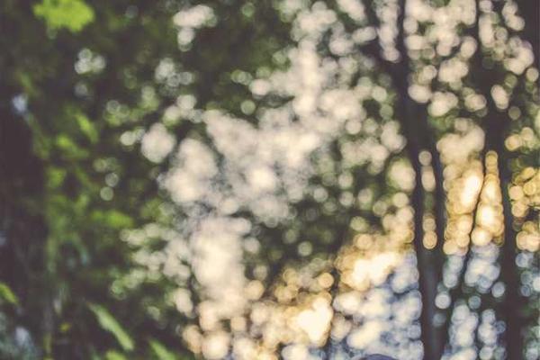 Read more about the article Bali Uncovered: A Journey Beyond the Beaches